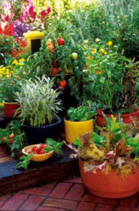 best soil mix for container gardening