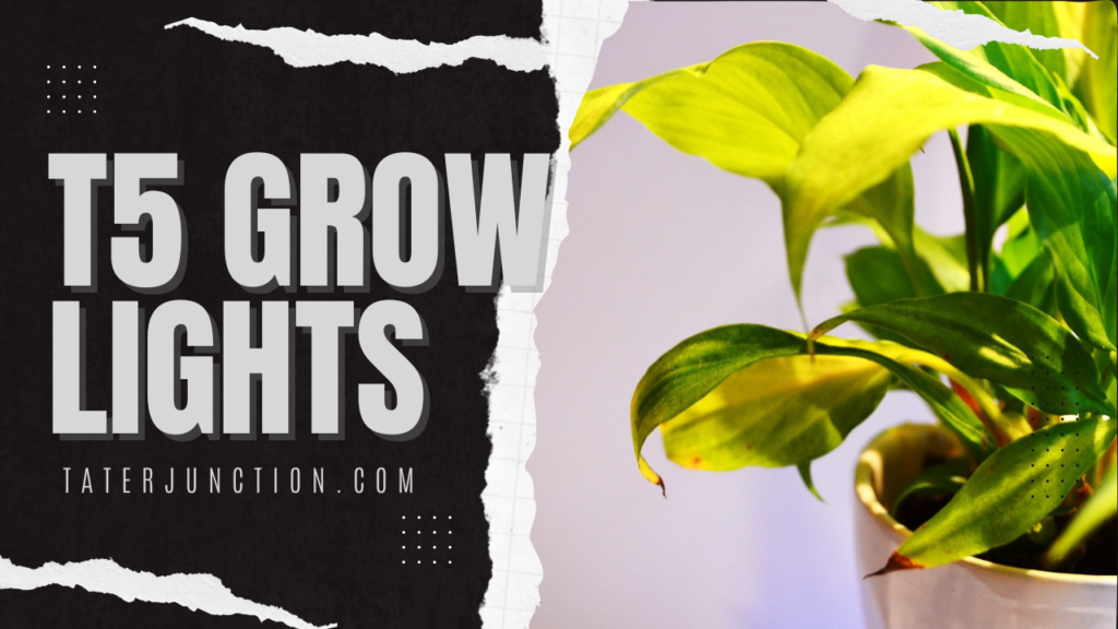 t5 growing lights