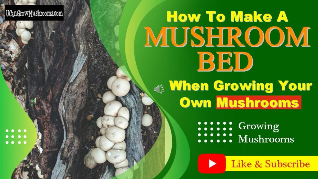 How do you make an outdoor mushroom bed?