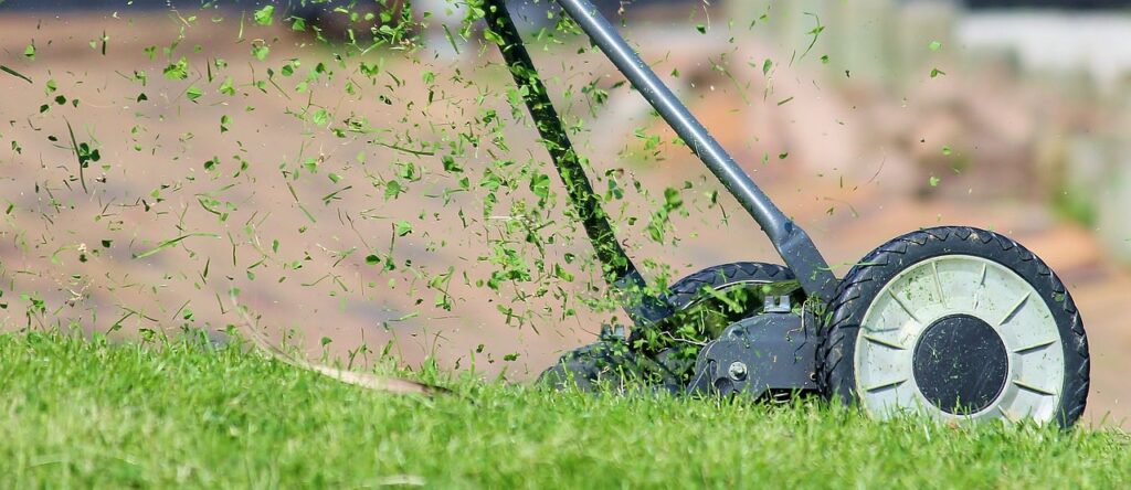 What Is The Role Of Aeration In Lawn Care?