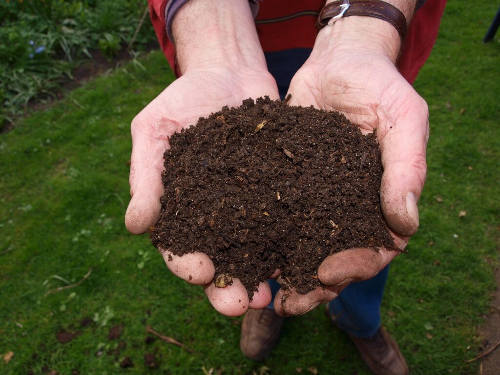 What Is The Role Of Compost In Landscaping?